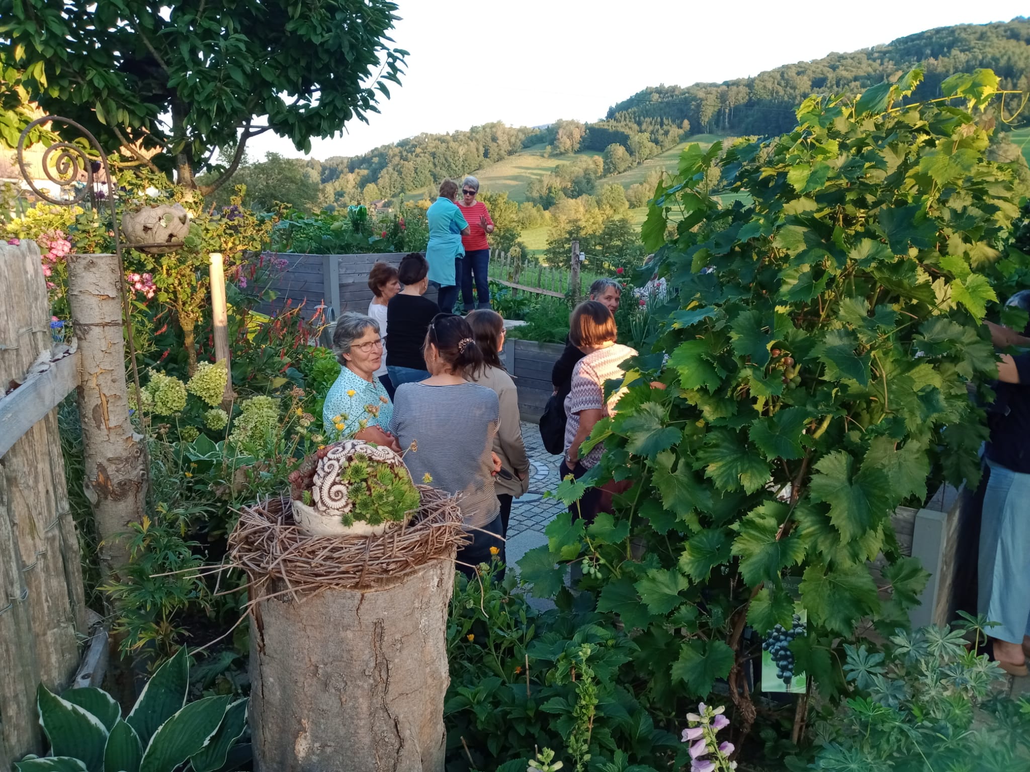 Gartenratsch